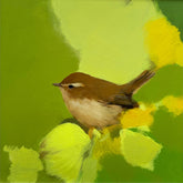 Heidi-Langridge-Chiff-Chaff-print