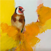 Heidi-Langridge-Goldfinch-print