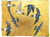 Illustration of birds flying against a yellow background