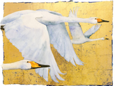 Three white swans with yellow beaks on a gold background