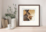 Jackie Morris Hare And Wren Limited Edition Artwork