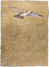 Jackie Morris Robert McFarlane The Lost Words Lark Signed Limited Edition Artwork