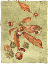 Jackie Morris Robert McFarlane The Lost Words Conker Signed Limited Edition Artwork