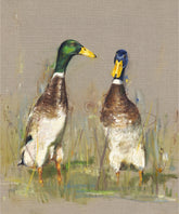 Indian Runner Ducks Josie Appleby