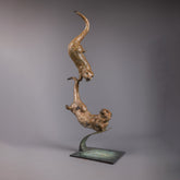 Jenna-Gearing-Swimming-Otters