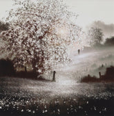 Person walking through a misty field with a large flowering tree.