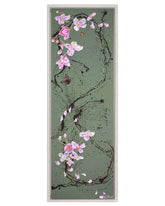 Kay-Davenport-Clematis-Climb