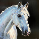Artwork of a white horse's head on a black background