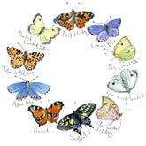 Madeleine Floyd Butterflies II mounted