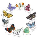 Madeleine Floyd Butterflies I mounted