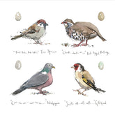 Madeleine Floyd Farmland Birds mounted