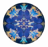 Maxim Reborn Butterfly art