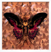 Artistic depiction of a butterfly with intricate details on a patterned background