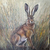 single hare in grass
