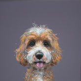 Nicky Litchfield Sugar & Spice - Original