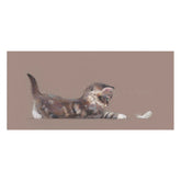 Nicky-Litchfield-The-Feather