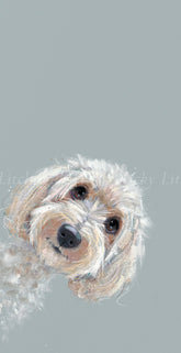 Nicky_Litchfield_Don_t_Forget_Me