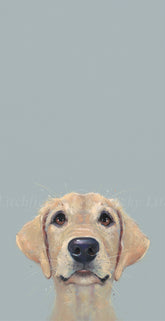 Nicky_Litchfield_Eager_To_Please