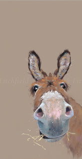 Nicky_Litchfield_Elevenses