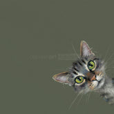 Nixky Litchfield Playtime