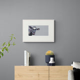 Nicky Litchfield Valentine framed cow art print