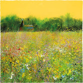 Paul Evans Morning Light, High Summer limited edition art print