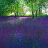A Sea of Bluebells Paul Evans