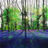 Paul Evans Sunburst and Bluebells