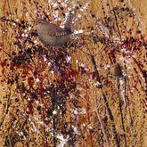 Paul Evans Wren in the artist's garden mounted