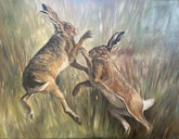 two brown hares boxing through tall grass.