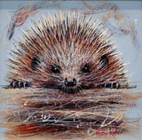 Needles Hedgehog - Original