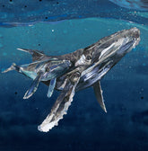 Sarah jackson limited edition art print