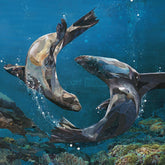 Sarah Jackson First Dance