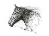 Framed black and white drawing of a horse's head on a white background