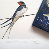 Swallow - The Lost Spells Jackie Morris & Robert MacFarlane