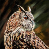 Debbie Boon limited edition canvas art print The Scholar