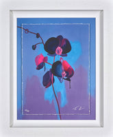 Tim Fowler Eclipse Framed