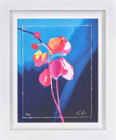 Tim Fowler Ethereal Framed