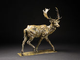 William Montgomery Fallow Deer Buck
