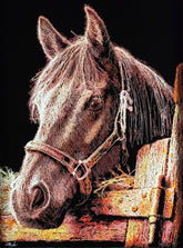 art print depicting a close-up portrait of a brown horse with a bridle, rendered in a textured, sketch-like style against a black background.