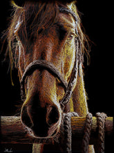 Artistic depiction of a horse with a dark background