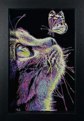 Zalini_Flutter_Framed