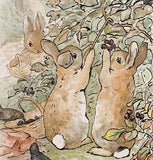 Little Bunnies went Down the Lane by illustrator Beatrix Potter