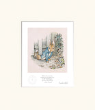 Squeezed Under the Gate by illustrator Beatrix Potter 