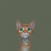 Ginger cat On olvie green background