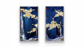 both mighnight splenour I & II