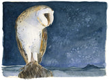Barn Owl - The Lost Spells Jackie Morris & Robert MacFarlane