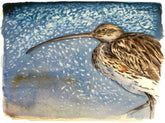 Curlew - The Lost Spells Jackie Morris & Robert MacFarlane