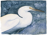 Little Egret - The Lost Spells Jackie Morris & Robert MacFarlane