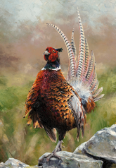 Anthony Dobson Cock O'The North Canvas Limited Edition
